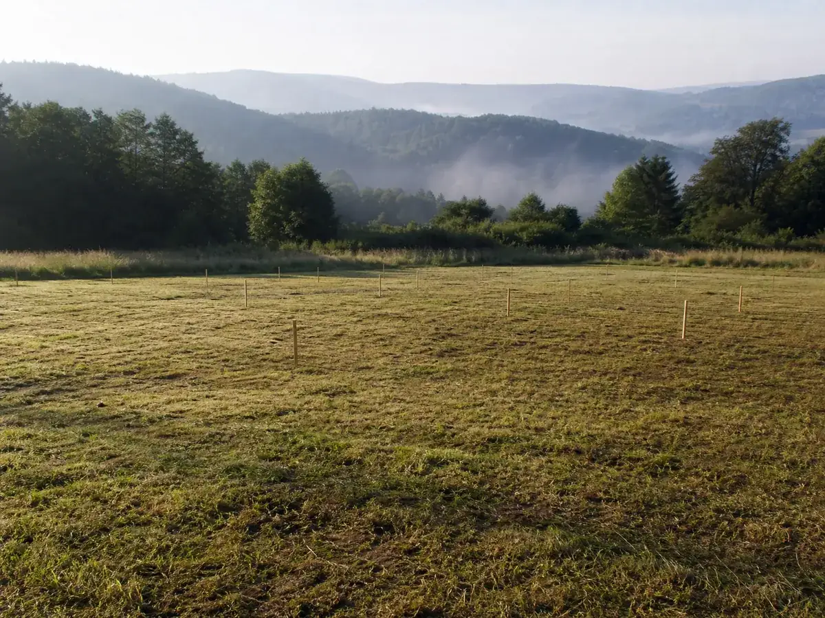 Wiese am Waldrand mit Holzpflöcken, die Stellplätze für einen geplanten Campingplatz markieren