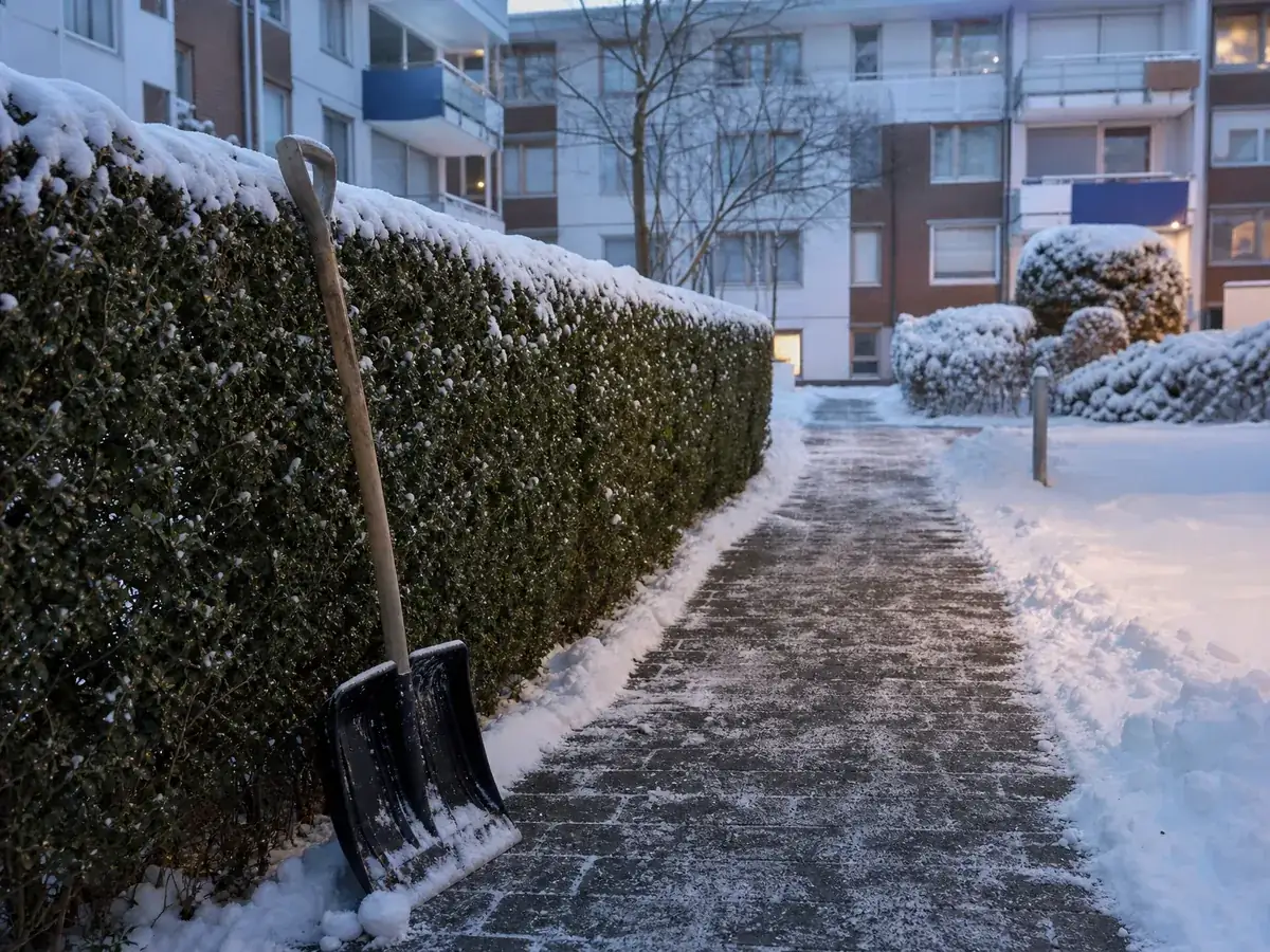 Geräumter Gehweg einer Wohnanlage – Winterdienst macht den GaLaBau-Betrieb ganzjährig rentabel